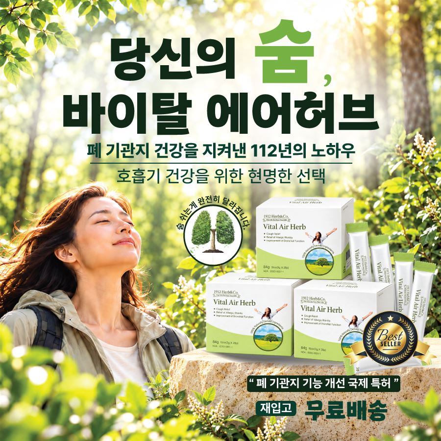 바이탈 에어허브/폐,기관지 [노폐물및 염증제거]